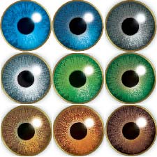 AIR OPTIX Color Contacts