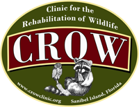CROW Logo