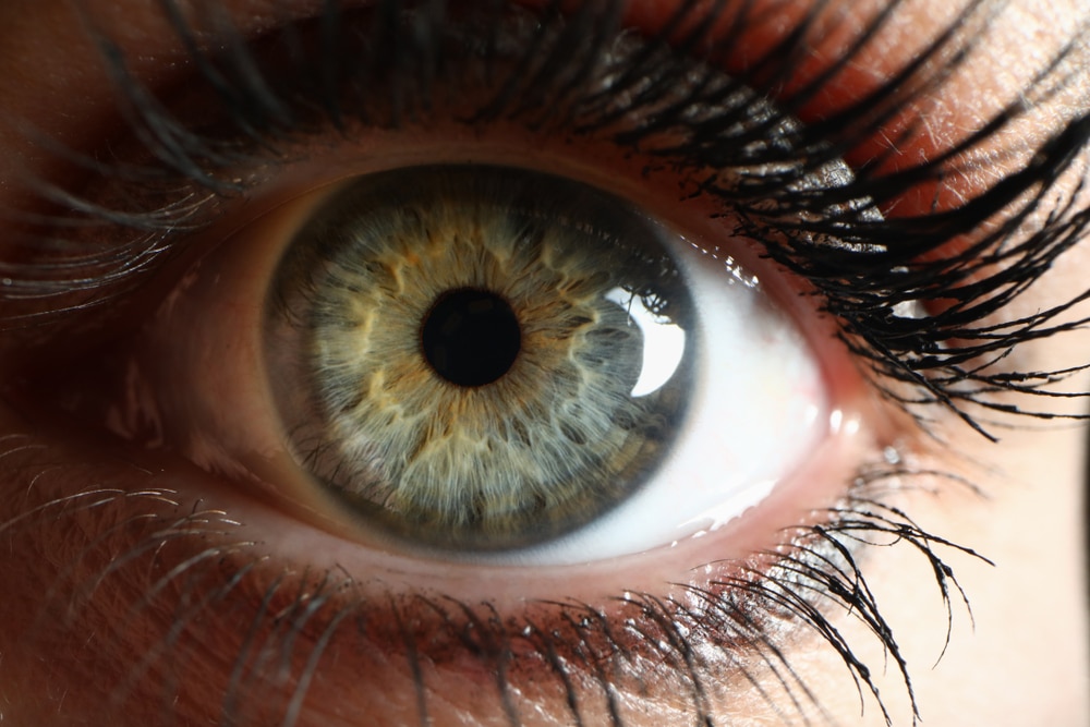 Closeup of green eye